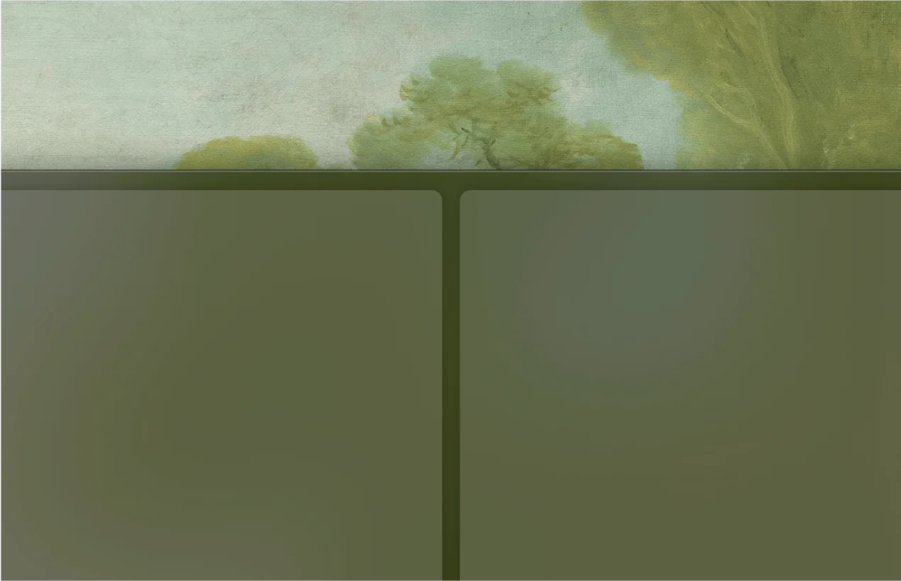 Split View Mode