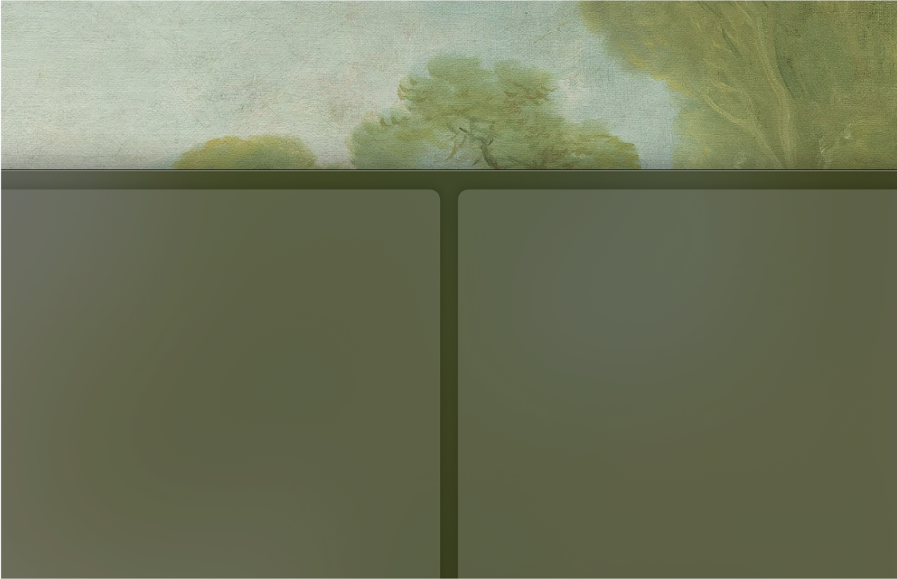 Split View Mode